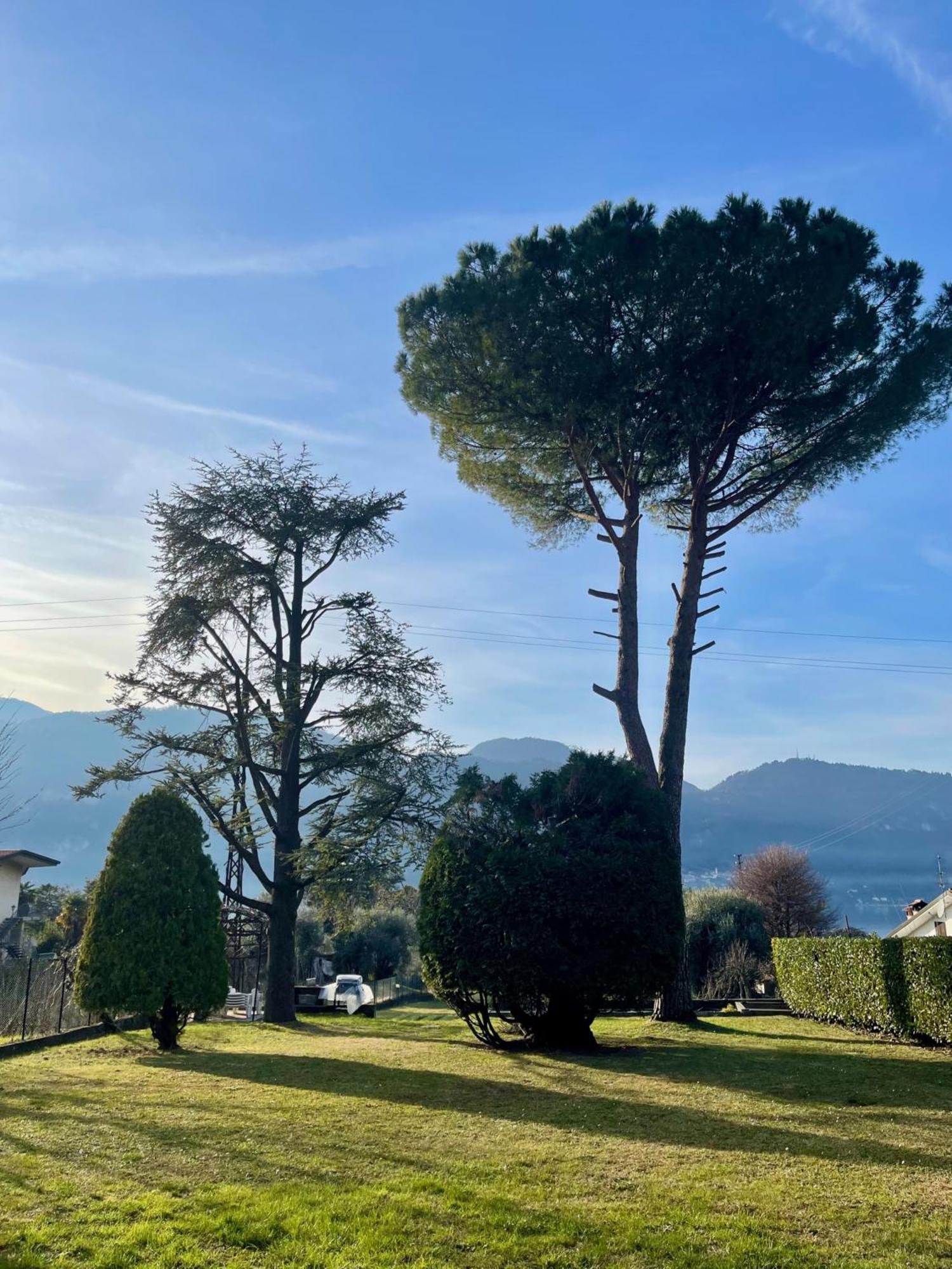 Villa Rosi リエルナ エクステリア 写真